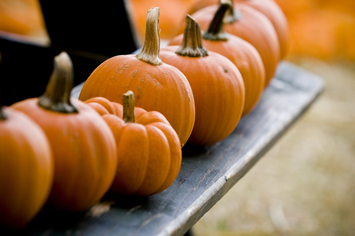 A variety of pumpkins